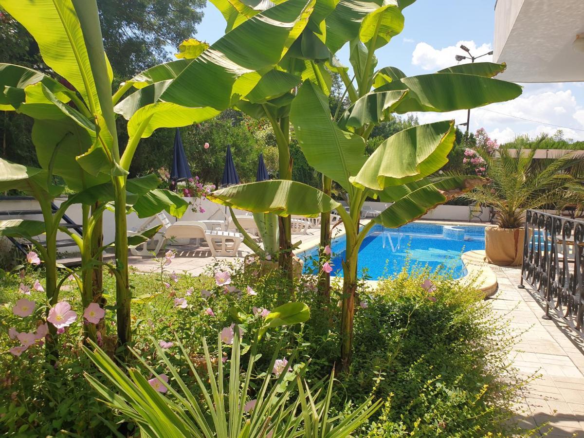 Hotel Feniks 로제넷츠 외부 사진