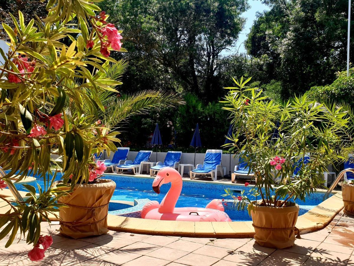 Hotel Feniks 로제넷츠 외부 사진